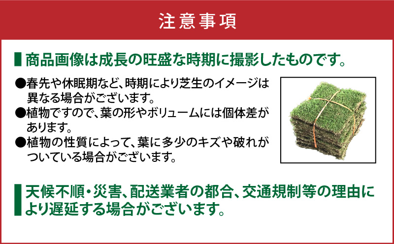 TM9（ティーエムナイン）省管理型コウライシバ トヨタ自動車(株)開発品種 50平米　KN080-007-05