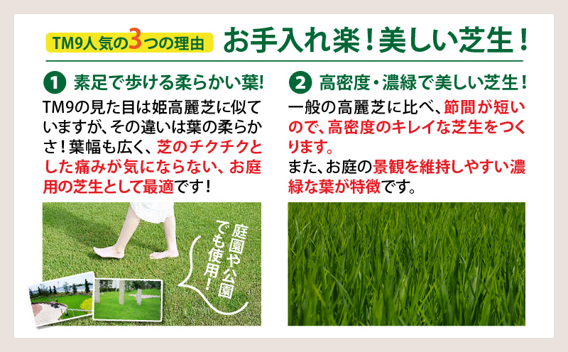 TM9（ティーエムナイン）省管理型コウライシバ トヨタ自動車(株)開発品種 2平米　KN080-007-02