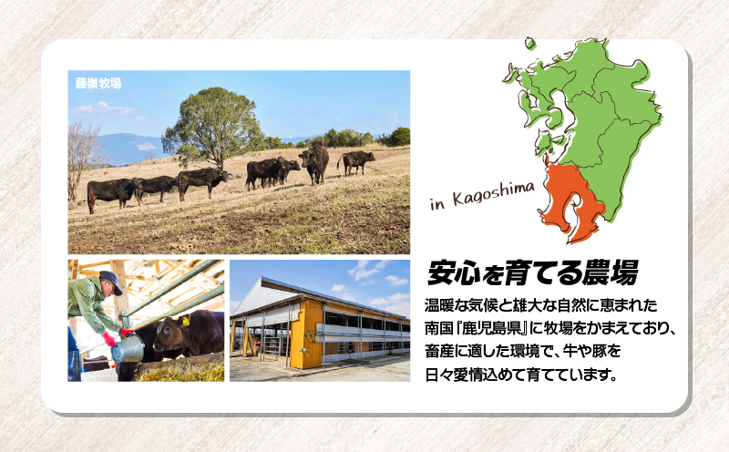 鹿児島県産黒毛和牛モモスライス 計1kg（500g×2P）　KN102-001-02