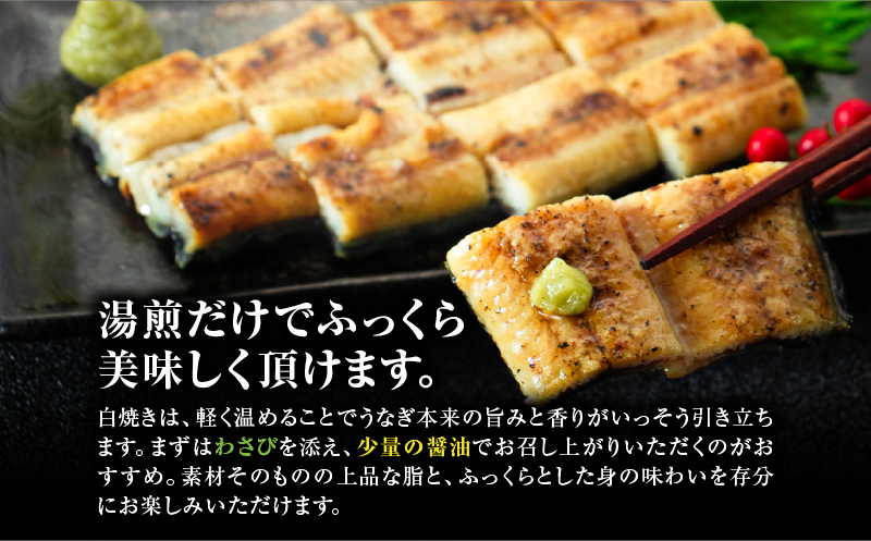 ã10/1(æš)ããå¯éé顿¹å®äºå®ã鹿å
å³¶çç£ããªãã®çœçŒã 2å°ŸãKN174-002-02ãæéäŒç€Ÿ äžå¿é€šã