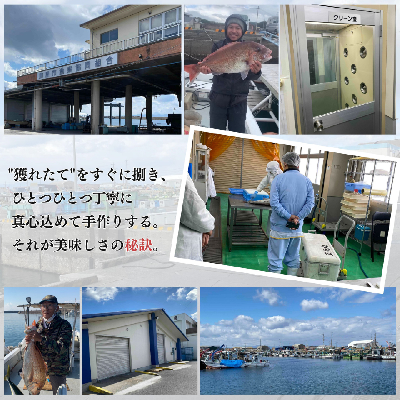 鹿å±åžç£ ããã±ã¡ è¡éº»é€æ²¹æŒ¬ã 海鮮䞌ã»ãã 10é£åãKN097-005-04