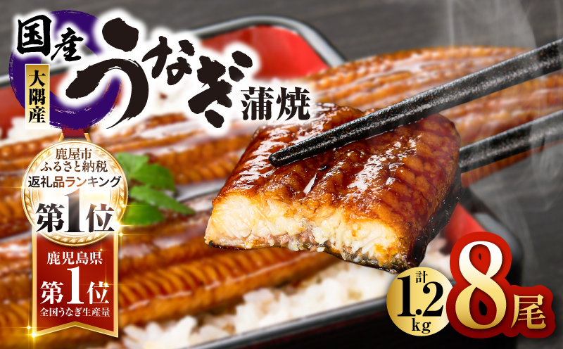 726-3 鹿児島県大隅産うなぎ蒲焼8尾（1.2kg）　KN007-008