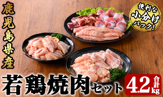 若鶏焼肉4.2ｋｇセット【国産 鹿児島県産 鶏肉 鶏 鶏モモ もも肉 焼肉 唐揚げ セット 小分け 真空 冷凍 冷凍保存】