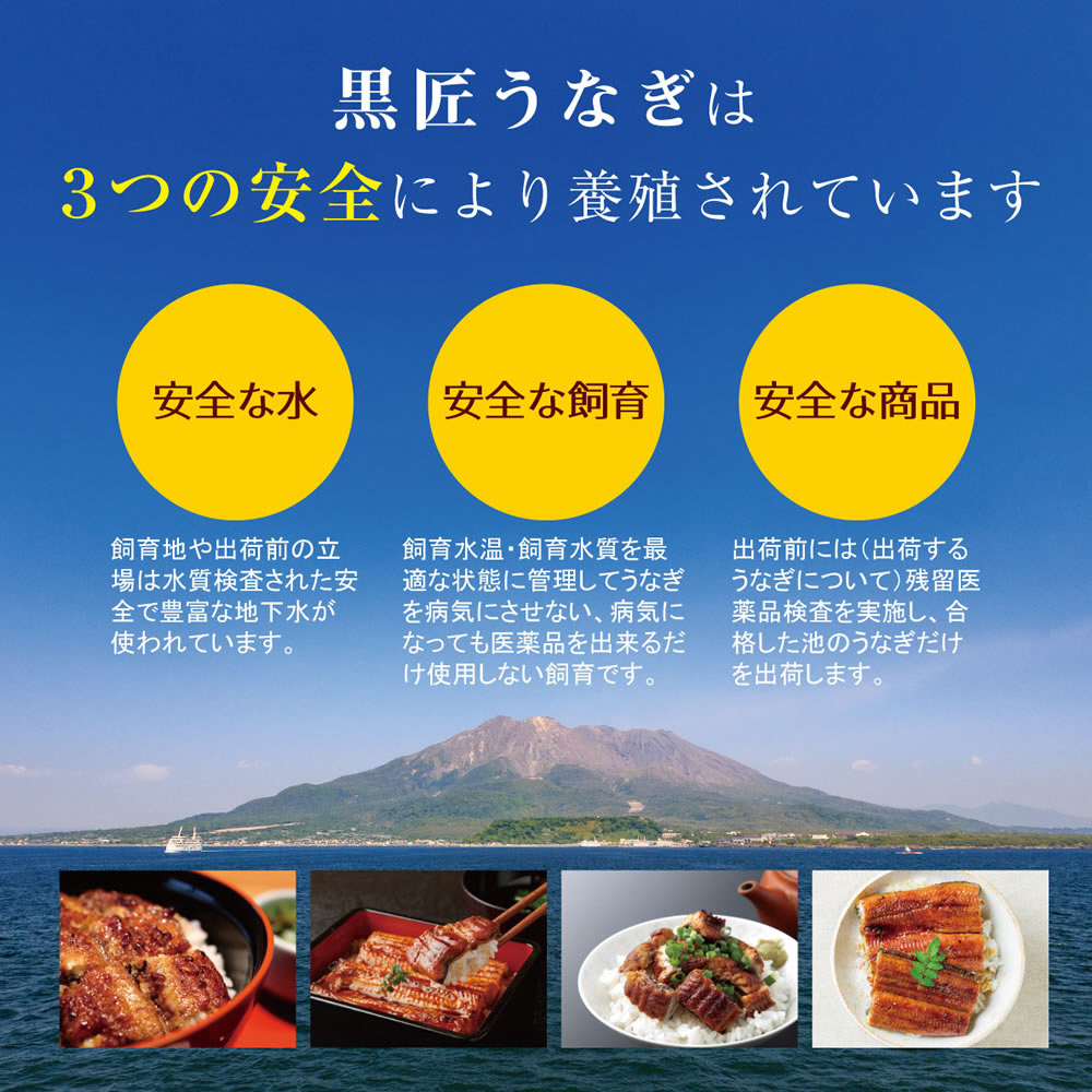 【年末限定品】うなぎ問屋の備長炭手焼うなぎ蒲焼 ４尾＋うな丼の素 ２パック（計740g）