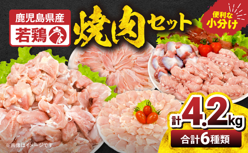2653 若鶏焼肉4.2kgセット　KN105-001