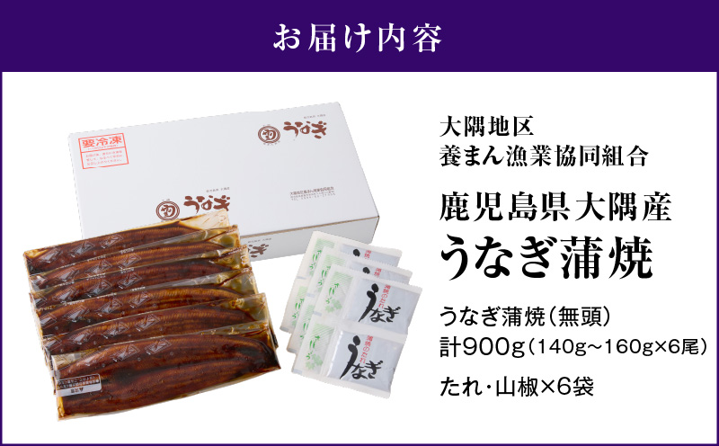 2181 鮖ソ蜈仙ウカ逵悟、ァ髫逕」縺縺ェ縺手調辟シ6蟆セ 險900g縲KN007-006