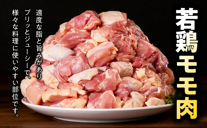 鹿児島県産若鶏モモ切身 9.6kg セット　KN165-003-02