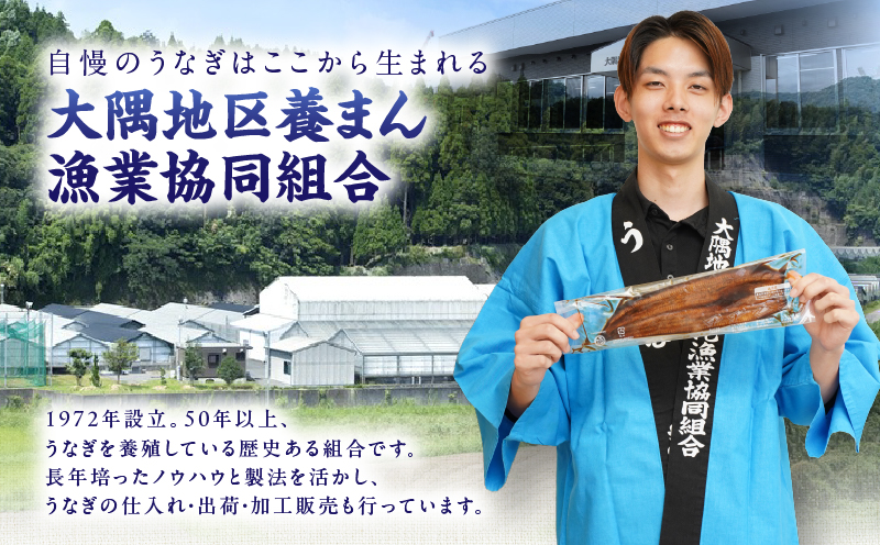 4002 鹿å
å³¶ç倧é
ç£ãã«ãããããªãè²çŒ7æ520gãKN007-001-03