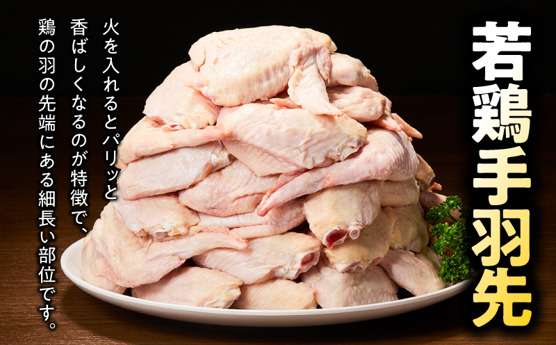 鹿児島県産若鶏手羽先 9.6kg セット　KN165-006-02