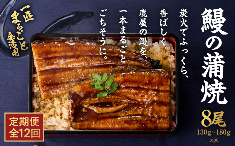 【全12回定期便】鰻の蒲焼 8尾（130g〜180g×8）　KN026-T10【株式会社オキス】