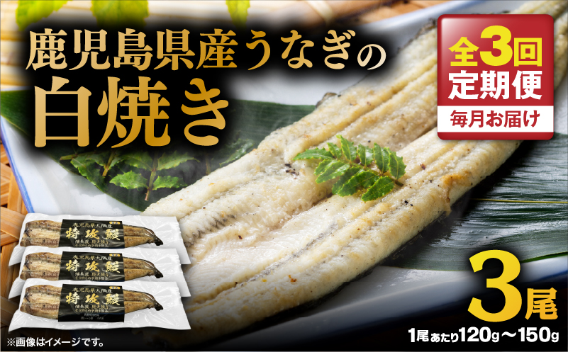 【全3回定期便】鹿児島県産うなぎの白焼き 3尾　KN174-T08