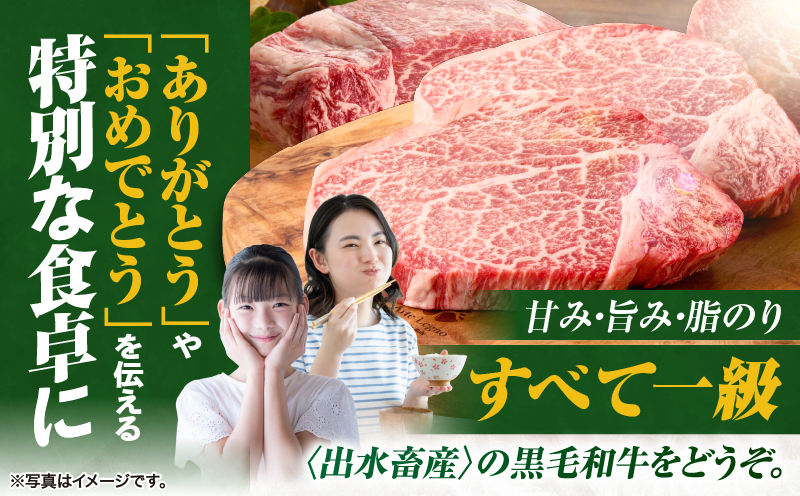 506-1 鹿å
å³¶çç£é»æ¯åçã·ã£ããŒããªã¢ã³4ã5æå
¥ïŒçŽ560gïŒãKN019-008