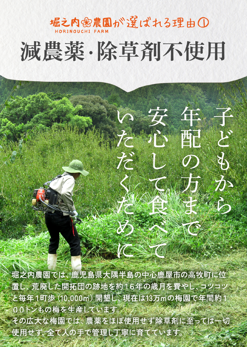 2583 ＜訳あり＞ つぶれ梅 梅干し かのや南高梅 食べ比べ A  （はちみつ梅・しそ梅・レモン風味） 各1袋 ×300g （計900g）　KN033-007-01