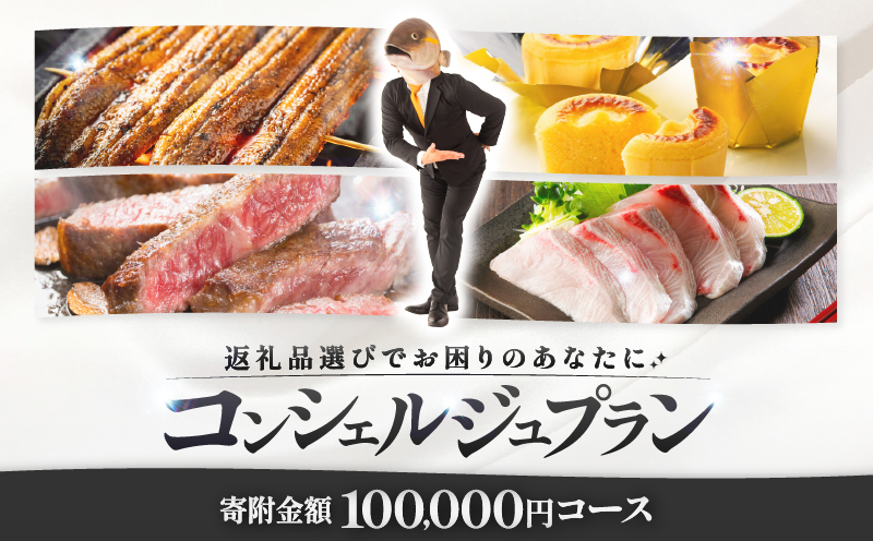 コンシェルジュプラン 寄付額10万円コース　KN000-CP010