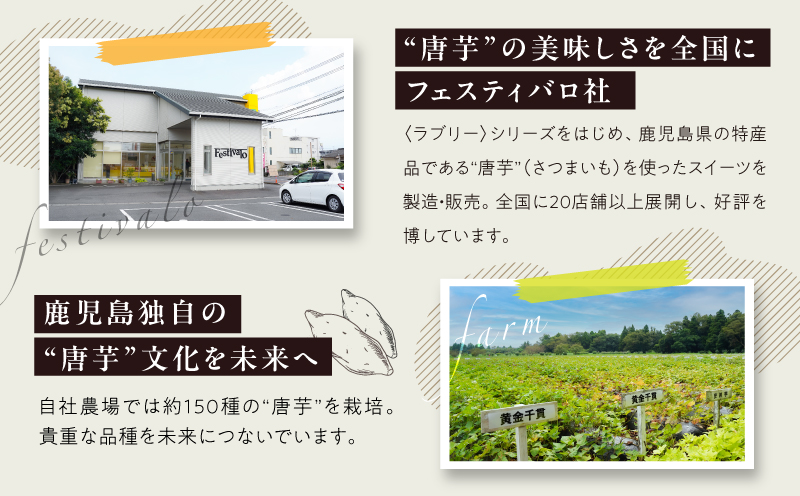 1228-3 フェスティバロ お楽しみセット（唐芋レアケーキ・ラブリー/東京ラブリーモンブラン、スイートポテト・黄金/紫）　KN023-004