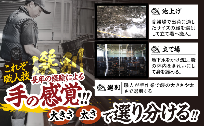 1387 大隅特産うなぎ蒲焼3尾（510g）　KN060-001-03