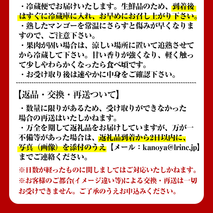 【数量限定】【2025年5月以降順次発送予定】超絶！KANOYeah！マンゴー　１kg（２～３玉）【マンゴー 青果 くだもの 自宅用 果物 フルーツ】