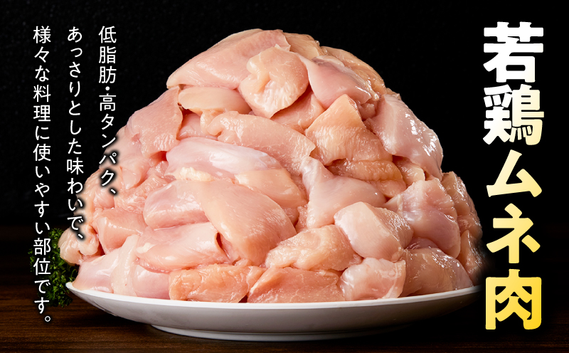 鮖ソ蜈仙ウカ逵檎肇闍・鮓上Β繝榊霄ォ 4.8kg 繧サ繝繝医KN165-004-01