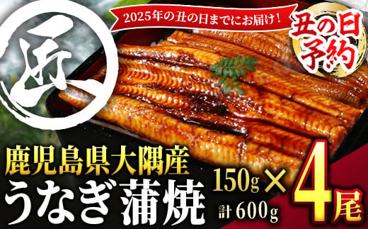 【土用の丑の日予約】鹿児島県大隅産うなぎ蒲焼４尾（600g）【2025年7月19日までに順次発送】