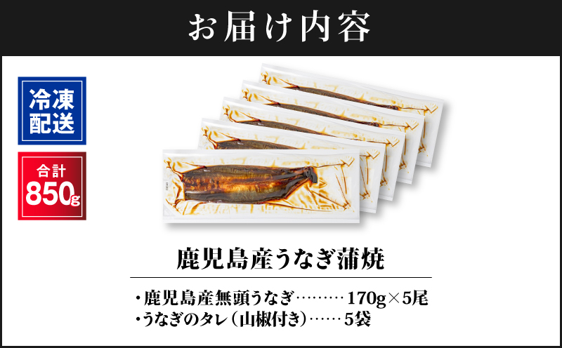 2445 鹿å
å³¶ç£ããªã åèš850gïŒ170gÃ5å°ŸïŒ æž
ãããªå°äžæ°Žè²ã¡ïŒãKN021-014-05ãæ ªåŒäŒç€Ÿè²¡å®ã