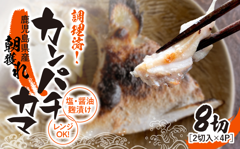 1276 調理済み！カンパチカマ塩・醤油麹（こうじ）漬け 8切（焼タイプ）　KN037-002-01