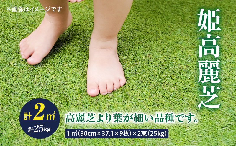 [10月から5月に発送]姫高麗芝(2平方メートル) KN177-004-01