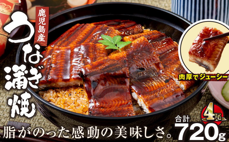 2447 鹿児島産うなぎ 合計720g（180g×4尾） 清らかな地下水育ち！　KN021-015-04