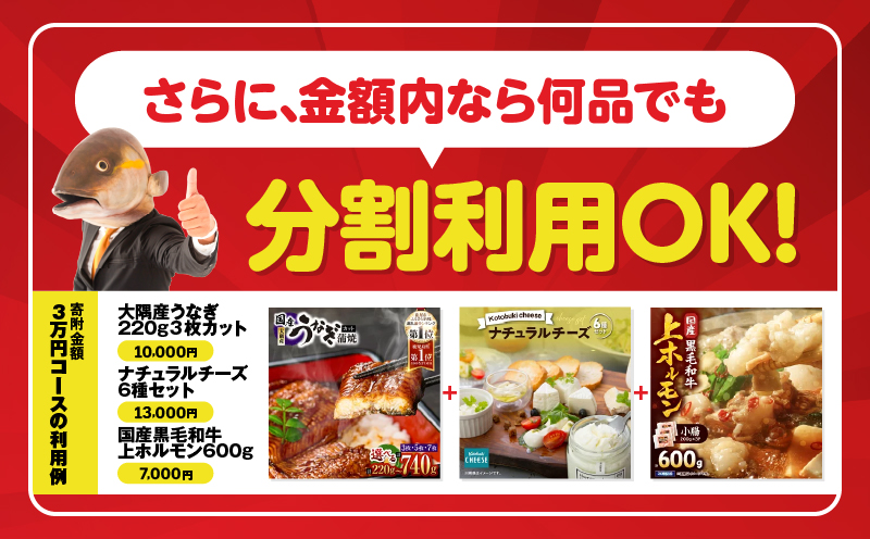 あとからセレクト【ふるさとギフト】500万円　KN000-AS0500