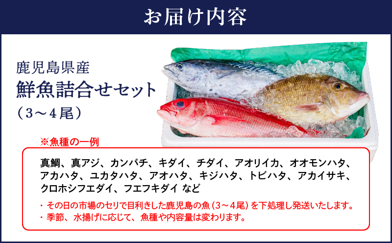 2530 鹿児島県産鮮魚詰合せセット（3〜4尾）　KN025-004-01