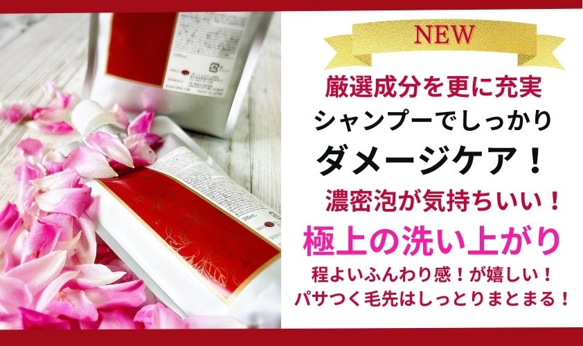 2927 ãéŠãã«ãã ãã£ããªãŒã¬ããã¯ãã¢ã±ã¢ã·ãªãŒãºãRSã·ã£ã³ããŒïŒNCããªãŒãã¡ã³ã ã«ãã©49 300mlÃ300gã»ãããKN003-005-01