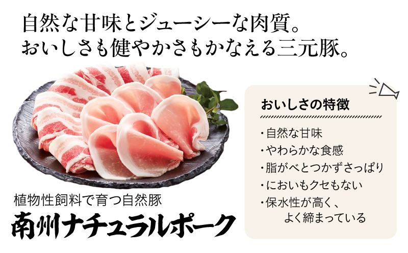 1395 åå·èŸ²å Ž é»è±ããŒã¹å³å挬ãè©°åãïŒNNF-4554ïŒãKN005-003