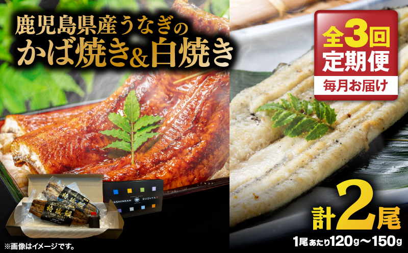 【全3回定期便】鹿児島県産うなぎのかば焼き 1尾・白焼き 1尾　KN174-T09