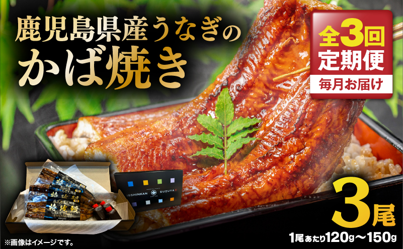 【全3回定期便】鹿児島県産うなぎのかば焼き 3尾　KN174-T03