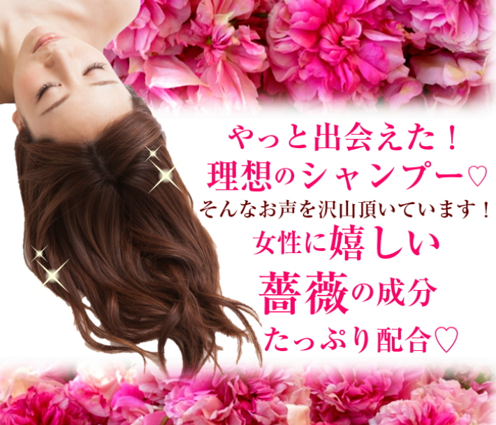 2923 【香りにこだわったオーガニックヘアケアシリーズ】RSシャンプー ルフラ49 300ml×2　KN003-001-02