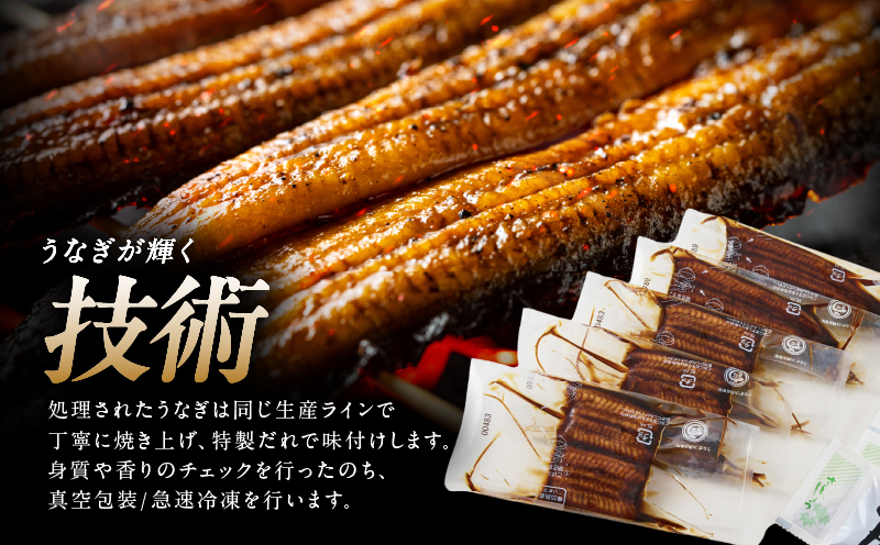 937-1 鹿å
å³¶ç倧é
ç£ãã«ãããããªãè²çŒ5æ300gãKN007-001-02