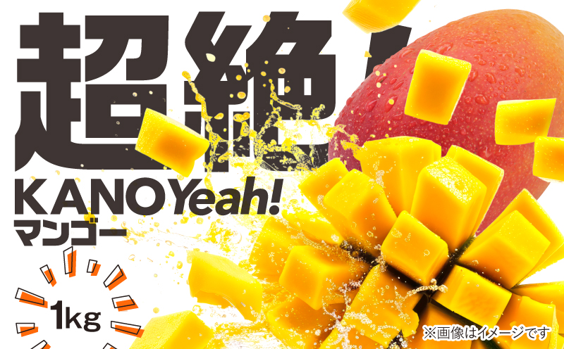 2831 超絶！KANOYeah！マンゴー1kg（2〜3玉）　KN112-001