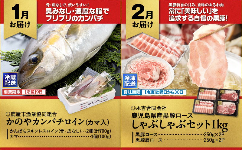 縲仙ィ12蝗槭鷹ケソ螻九き繝ウ繝代メ繝ュ繧ヲ萓ソ縲KN000-T08