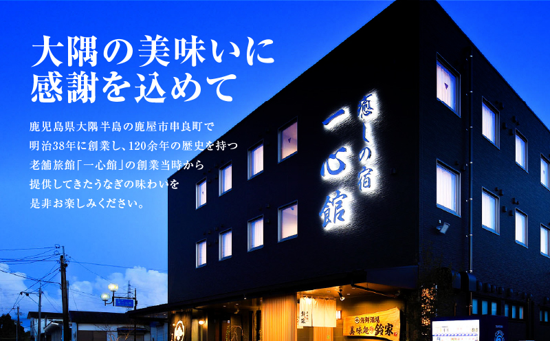 【全3回定期便】鹿児島県産うなぎの白焼き 3尾　KN174-T08【有限会社 一心館】