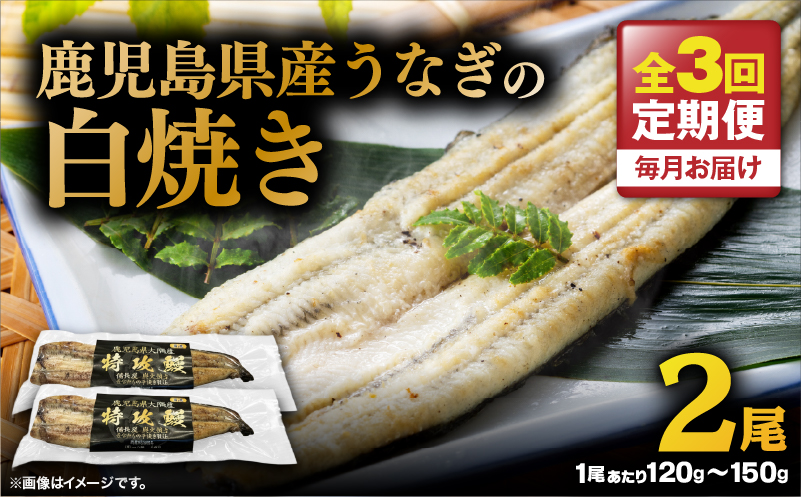【全3回定期便】鹿児島県産うなぎの白焼き 2尾　KN174-T07