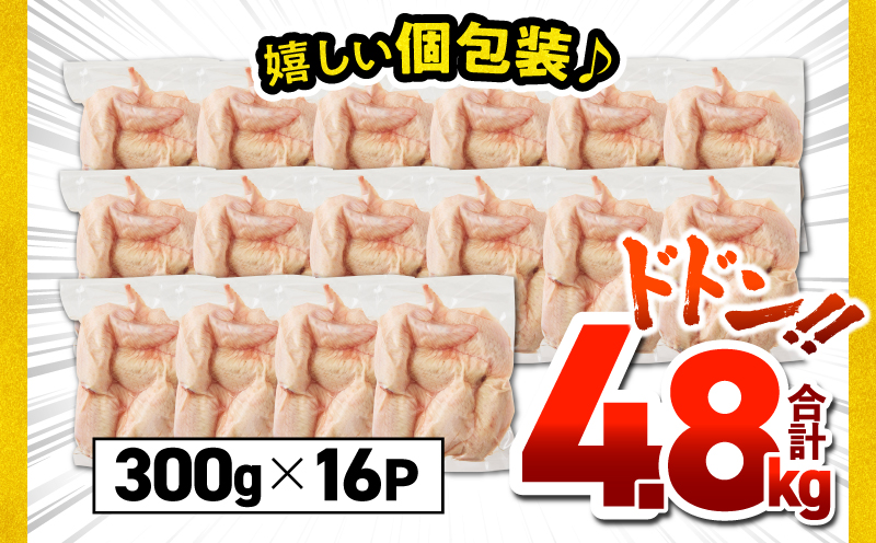 鹿児島県産若鶏手羽先 4.8kg セット　KN165-006-01