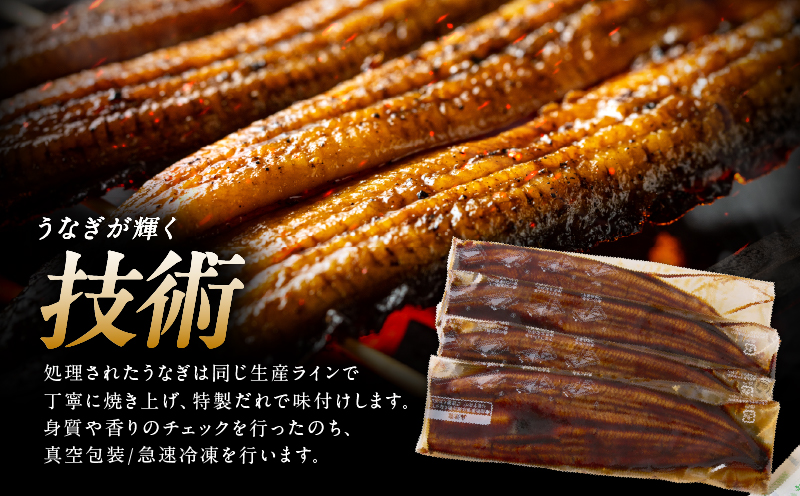 2869 【 2026年 土用の丑の日 先行予約 】 鹿児島県大隅産うなぎ蒲焼4尾（600g）　KN007-004-01b
