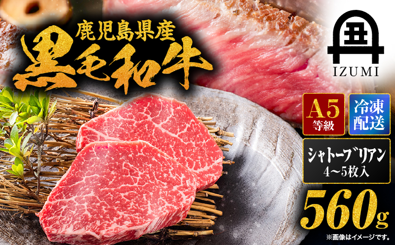 506-1 鹿児島県産黒毛和牛シャトーブリアン4〜5枚入（約560g）　KN019-008