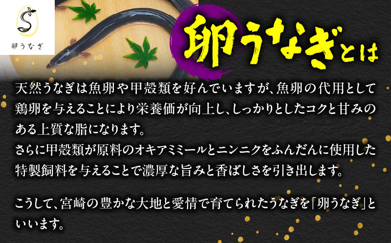 1645-1 九州産 卵うなぎ 備長炭手焼 『鯉家匠うなぎ』の蒲焼 10尾計1500g　KN029-005-05