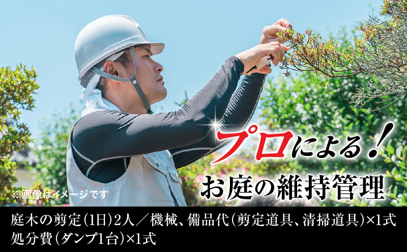 繝励Ο縺ォ繧医kシ√♀蠎ュ縺ョ邯ュ謖∫ョ。逅縲KN177-001