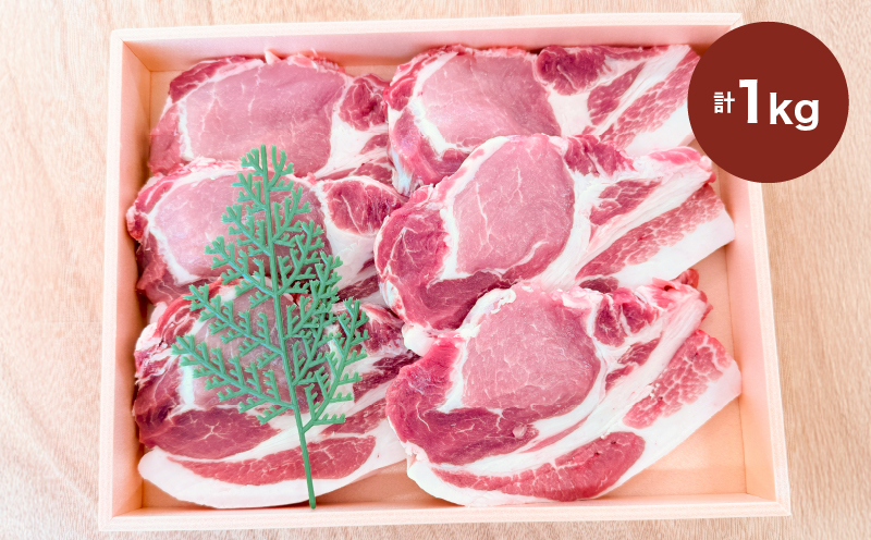 2886 鹿児島産茶美豚ロースとんかつ木箱 1000g　KN010-011