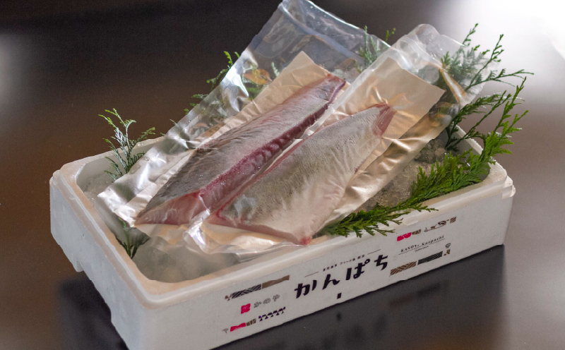 174-1 かのやカンパチロイン（カマ入）　KN001-001