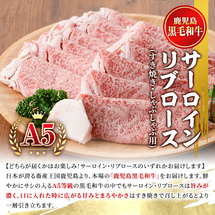 鹿児島黒毛和牛Ａ5すき焼き・しゃぶしゃぶ用500ｇ（サーロイン・リブロースいずれか）＋絶品『ｺｸの豚ﾛｰｽ』650ｇ［130g×5枚］セット 