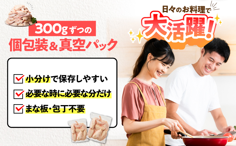 鹿児島県産若鶏手羽先 4.8kg セット　KN165-006-01