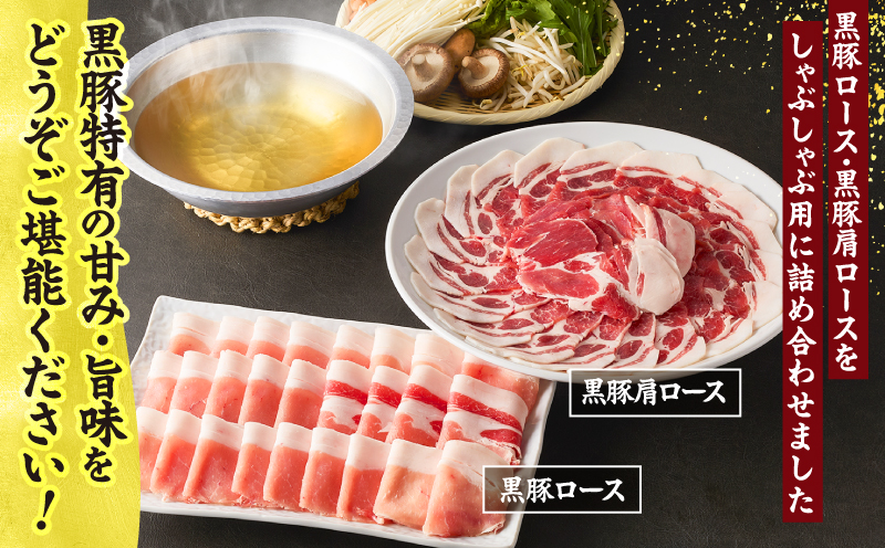 1329-1 鹿å
å³¶çç£ é»è±ããŒã¹ããã¶ããã¶ã»ããïŒããŒã¹ã»è©ããŒã¹ïŒ1kgãKN054-001-01