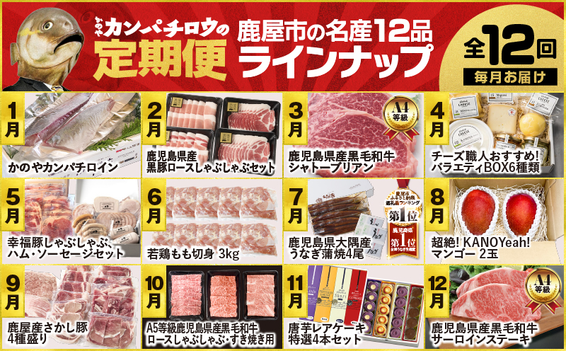 縲仙ィ12蝗槭鷹ケソ螻九き繝ウ繝代メ繝ュ繧ヲ萓ソ縲KN000-T08